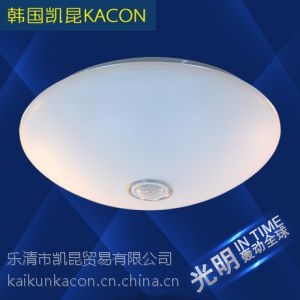 供应瑞和 4W人体感应吸顶灯超亮 LED吸顶灯 简约卫生间灯客厅灯过道灯