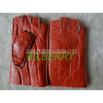 供应百盛皮业批发正品皮毛一体女式半截手套 ipad电脑手机手套