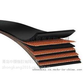 供应聚酯传送带 天然橡胶