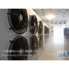 中山低温海鲜冷库—定做建造酒店海鲜冷库哪家好-专业的广州银雪冷库公司