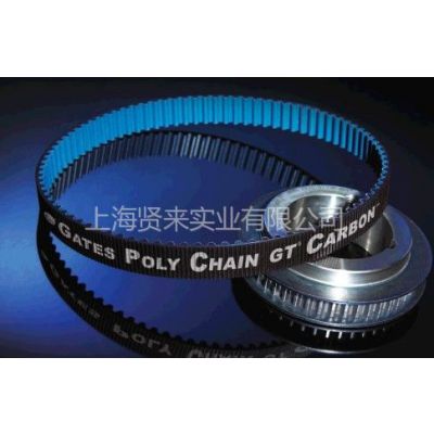 ӦPolychain GT2 CarbonƤ