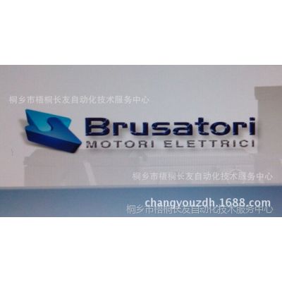 ӦBrusatoriŷBR0582041G11DSά