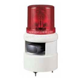Q-LIGHT⾯ʾS100DLR