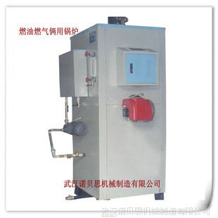 ȫԶȼͣȼ¯NBS0.1-0.7Mpa,100kg/h