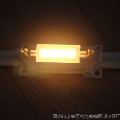 Ӧ˿ ͸ƴ 24V 5W˫  Festoon Light