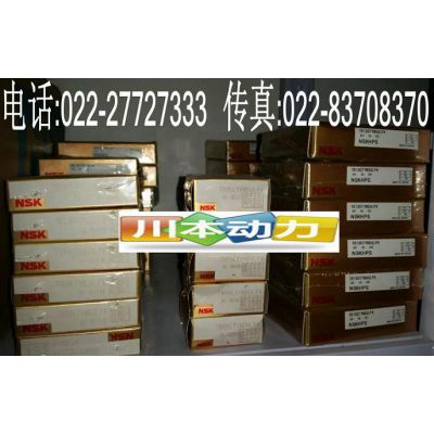 进口NSK（恩斯克）51124推力球轴承-天津川本轴承