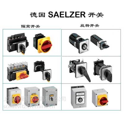 SAELZERD(zhun)_P(gun)