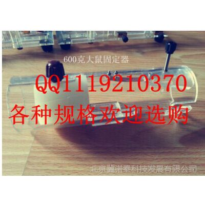 600克超大鼠固定器/600克大鼠固定盒/大白鼠固定装置