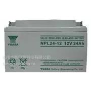 YUASA ǳNPL24-12 ǳNPL12v24AH(ά)