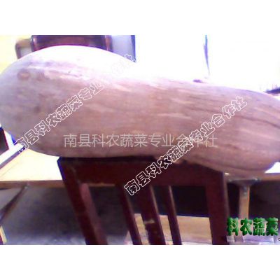 供应丰蜜秘本南瓜