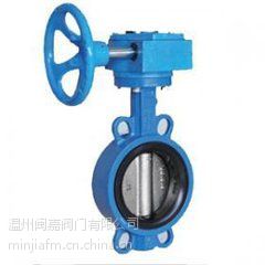 D971XJ-10C16C 电动蝶阀 衬胶蝶阀 无销蝶阀 电动对夹衬胶蝶阀