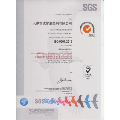 SGS9001