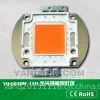 LEDȫ׵30W ȫֲƵ 400-840nm Ʒ