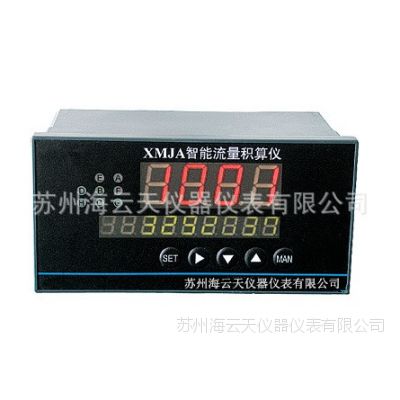 XMGA-2000ʾ˫2·24V4~20mA