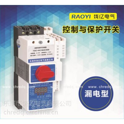 供应RECPS-L漏电型控制与保护开关电器