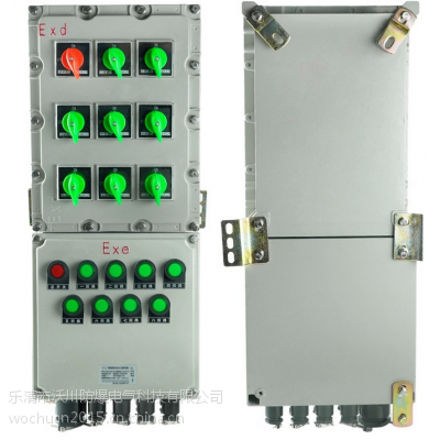 BXM51-T8KXXM防爆照明配电箱供应价格