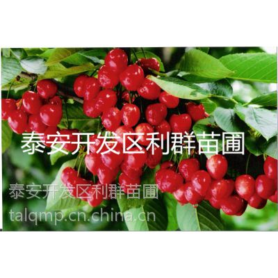 Ӧ2ӣ 2ӣ۸ ӣ 1-15ӣ