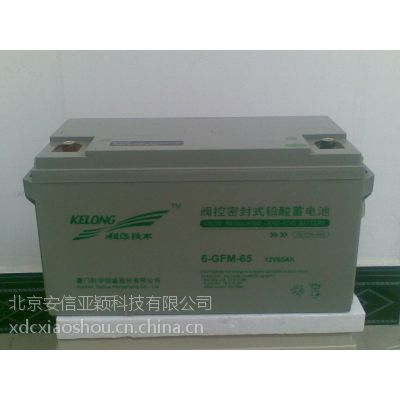 6-GFM-100科华技术UPS电源蓄电池12V100AH