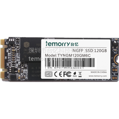 Temorry M.2 NGFF Series SATA6.0Gb/s NAND Flash̬