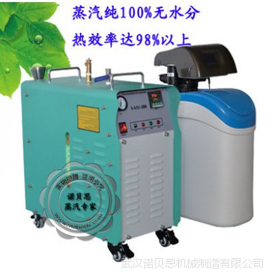 专业供应迷你型电加热蒸汽锅炉   2kw