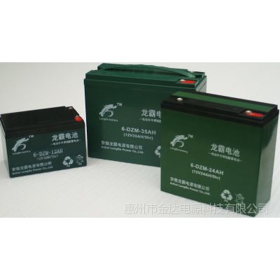 供应龙霸电动车电池/电动观光车电池