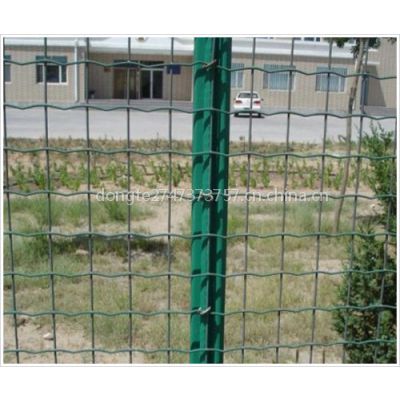 道路护栏网|绿色铁丝网|浸塑护栏网|养殖网|东特金属