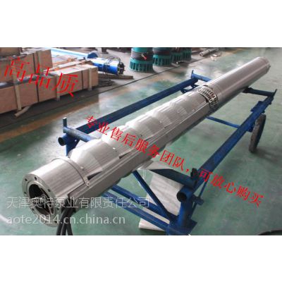 250QH150-160/110KW304Ǳˮ