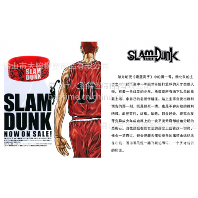 ԭƷƹȫưֻѪSLAM DUNKӣľ˶z֭h