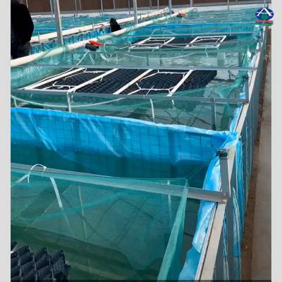 鳝巢蜂巢式解析安装 养黄鳝的S型填料 鳝鱼PVC塑料片 华强