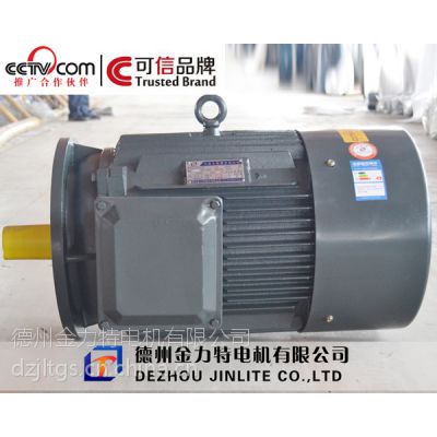【山东电机厂】金力特YE801-2三相异步电动机