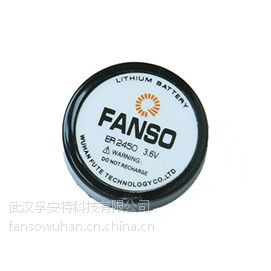 现货供应孚安特/FANSO ER2450 3.6V 500mAh 胎压监测锂亚扣式电池