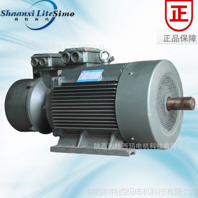 YR IP44)380V첽綯YR315L-4 132KW