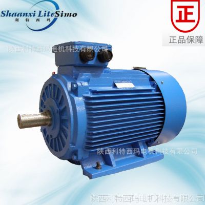 ֱYVF2 Ƶٵ綯YVF2-355M-2A 250KW 380V