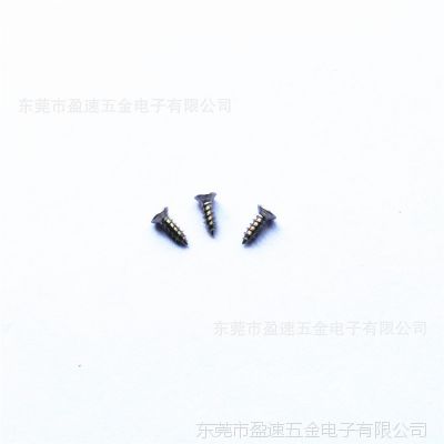 十字平头自攻小螺丝KA1.2*3.5不锈钢304防锈螺丝 螺丝生产厂家