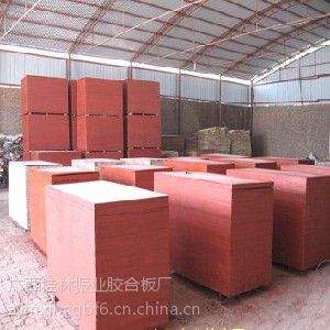 桂林建筑模板批发_买质量好的建筑模板,优选振业胶合板建筑模板