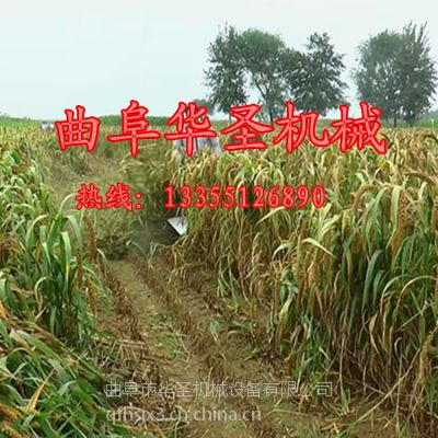 淮北水稻谷子收割机 优质油菜收割机 玉米杆收割机