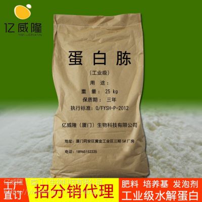 骨蛋白胨的用途有哪些