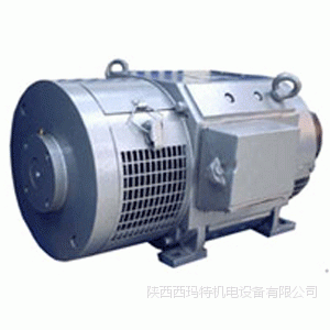 ZTP-12 0.6KW110V1500R西安泰富西玛电机 铁路专用直流电机