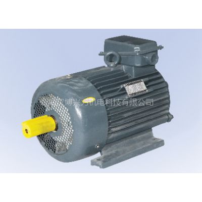 ´YZ200L-8-13KW첽ұ
