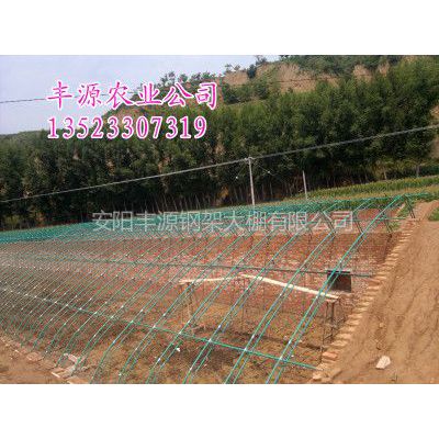 供应钢架大棚骨架 镀锌钢架大棚骨架配件 日光蔬菜大棚骨架机 新型大棚支架机