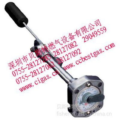ӦRochesterʱʽ6293/6290