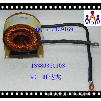 300uH 2KWŻ ѹ-տͻҪ WDL