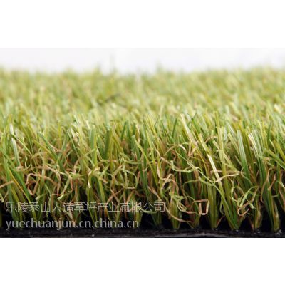 泰山草坪公司足球场地用人造草坪