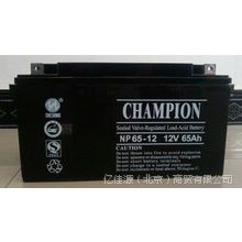 V|늳NP65-12/12V6***H/UPSgԴUSo