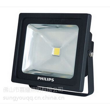 LEDBCS131 30W IP65㻧ʹ
