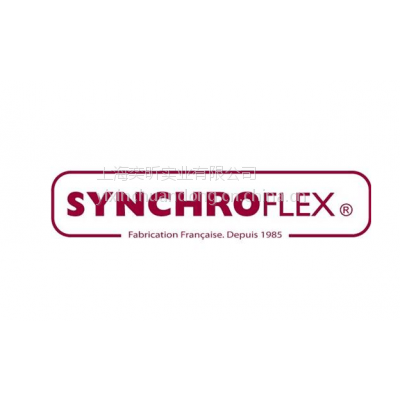 ¹ SYNCHROFLEX T2.5ͬ