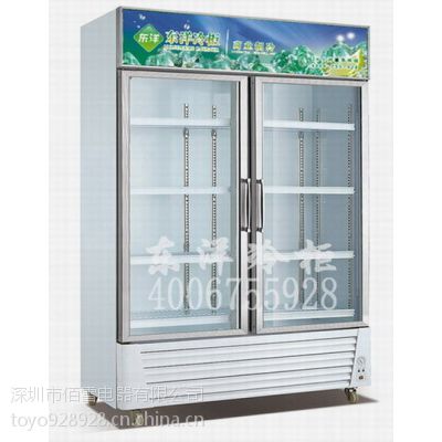 冰柜生产厂家深圳工业展示柜工业冰柜厂家