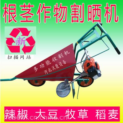 ʽո ո