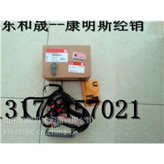 宁波东方船舶3033389燃油执行器计量阀现货