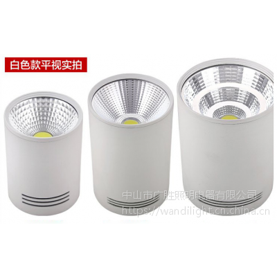 广胜厂家批发led明装筒灯 黑色/白色 cob筒灯 天花射灯
